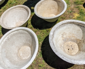 Here are some concrete planters - all sold.