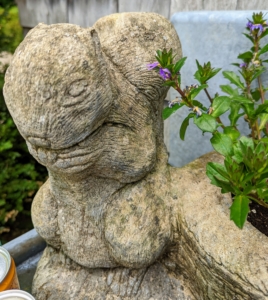 A whimsical stone squirrel sits nearby. Patsy has been collecting stone garden pieces for many years. Stone garden pieces are very alluring in any outdoor space. In areas where temperatures dip below freezing in winter, it's a good idea to turn containers over to drain or bring them indoors. A winter freeze can crack or crumble any kind of stone.