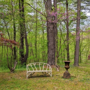 Patsy’s New York State weekend cottage is nestled among tall trees and lots of green foliage. It is always so relaxing to come here. There are several quaint seating areas on the property, including this unique faux bois bench at the edge of Patsy's shade garden.