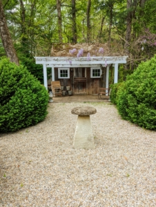 Across from the main house is a charming garden shed. The walking paths are covered with quarter-inch round stone – a beautiful ground cover for the bold green of the boxwood. The wisteria on top of Patsy's shed is just beginning to flower. Wisteria is a genus of flowering plants in the pea family, Fabaceae, that includes 10-species of woody climbing vines.