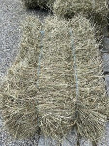 In general, a standard 40 lb. "square" bale of hay lasts one horse about three days, but this also depends on the individual horse, the type of hay, and the amount of access to pasture grass.