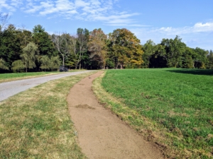 I wanted the allée to extend the entire portion of the road that cuts through the lower hayfields. This would require a large number of stately trees. My outdoor grounds crew removed the sod from the area. All my carriage roads are 12-feet wide. I wanted to be sure the new allee lined the edge of the road, but also had enough room for the trees to grow.