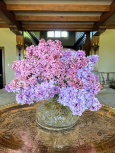 Another one sits on the faux bois table in my Living Hall. Lilacs come in seven colors: pink, violet, blue, lilac, red, purple, and white. The purple lilacs have the strongest scent compared to other colors.