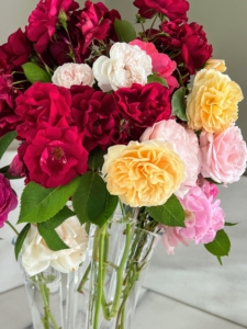 These flowers are just so spectacular this year and so very fragrant. What roses are blooming in your garden this season? Share your comments with me below.