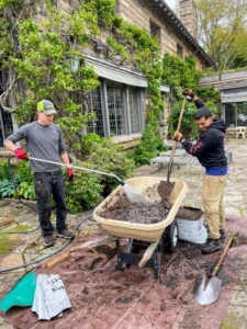 Here are Peter Grub and Moises Fuentes moistening the soil in the wheelbarrow. Everyone takes turns doing everything – from moving and preparing the plants to moistening the potting mix, to filling the pots, to planting.