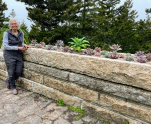 Here’s Wendy Norling, one of my gardeners at Skylands. She planted the stone trough I bought at Trade Secrets several years ago. It has worked perfectly here at Skylands, and looks beautiful planted up with succulents.