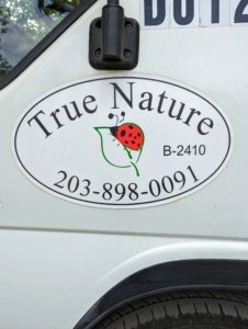I asked the experts at True Nature to come take a look.
