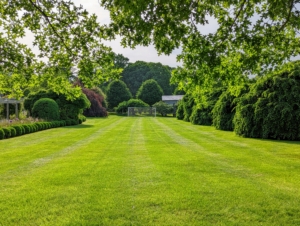 All the lawns are mowed and raked. This is my party lawn soccer field. My grandson, Truman, loves to play soccer here when he visits. Located between my long pergola and my pool, it is a beautiful, flat, and expansive space for lots of summertime games.