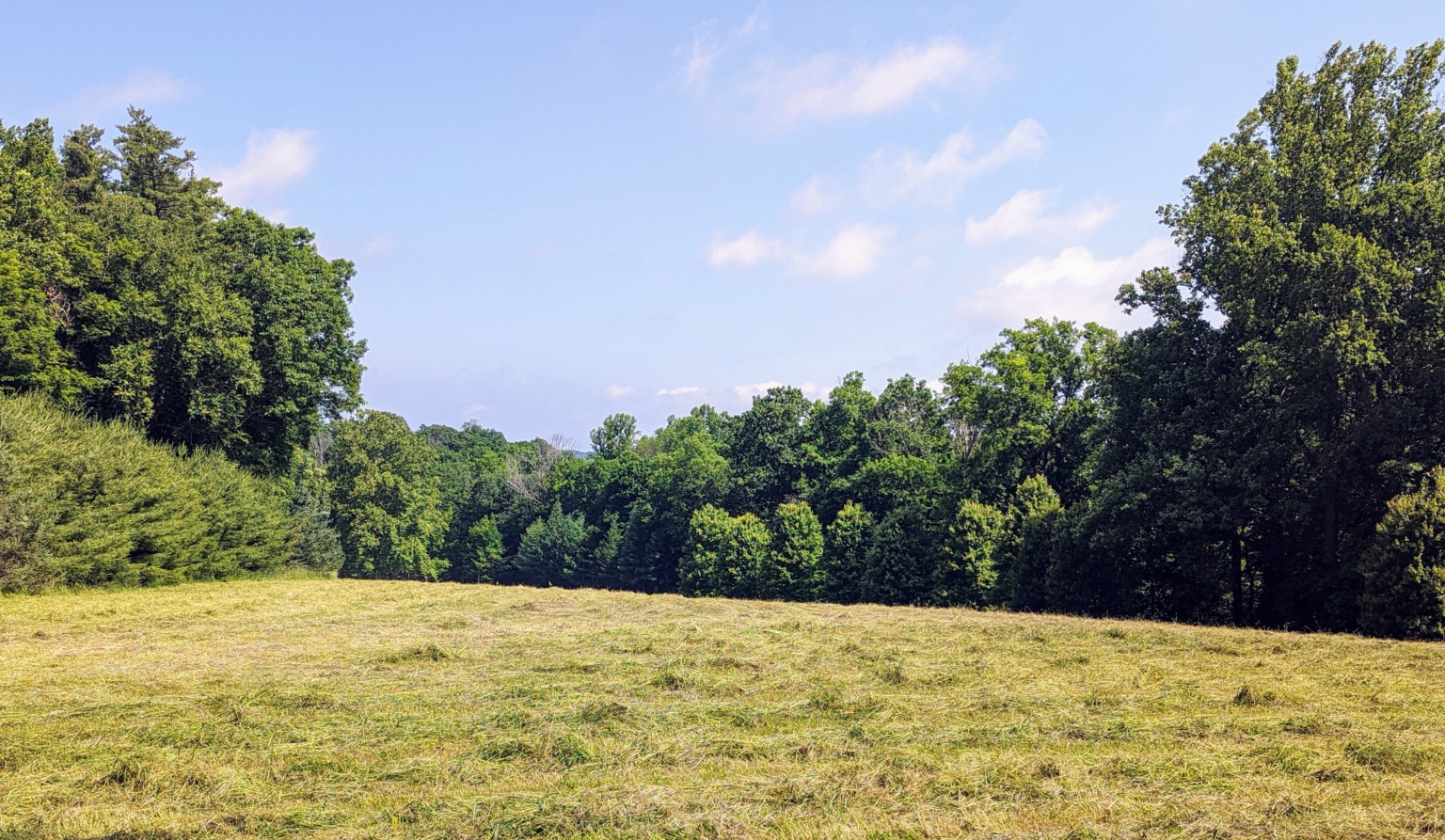 In My Fields Preparing the Hay for Baling - The Martha Stewart Blog