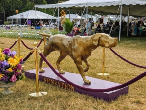 This is the statue of “Sensation” – a gorgeous Pointer and the Westminster Kennel Club mascot. The Westminster Kennel Club Dog Show launched in 1877 and is now one of the longest continuously running American sporting events, second only to the Kentucky Derby.
