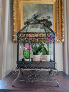...this antique terrarium is a recent purchase for Lyndhurst. It was bought from my own Great American Tag Sale and added to the room's decor.