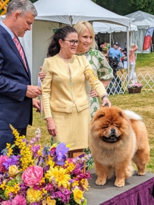 And he won! Buddakan is this year's Best of Breed - a great honor! He moves on to compete in the Best in Group competition. After the breed winners are chosen, they are photographed with their judge. Here he is with Jan and his owner, Trina Rothrock. Buddakan did a great job - I am so proud of him.