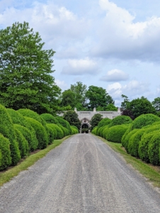 The Boxwood Allee on the way to the stable always grabs everyone’s attention. During this part of the walk, Ryan explains how we care for the boxwood and cover all the shrubs with burlap every winter to protect them from the elements.