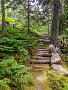 The tour brings guests up the steps from the guest house to my main house. The rocks on the outside of the stone steps toward the top are called “Rockefeller’s Teeth” – large blocks that serve as guardrails. These stone steps are cut roughly and spaced irregularly to create a rustic appearance.
