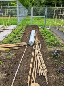 I am always trying new methods for staking our tomato plants. Every year we try something new and better. I like using bamboo canes. They are easy to buy in bulk, and can be found in a variety of sizes. These canes are about eight to nine feet tall.