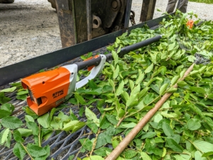 The top of this hedge section is trimmed perfectly level using our STIHL HLA 85 battery powered extended hedge trimmer. It's light, easy to maneuver and cuts extremely well.