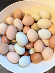 And here's a bowl of fresh eggs from my gorgeous and most productive chickens.