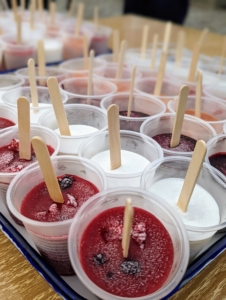 For dessert, ice pops served in individual cups - currant, black raspberry, coconut, peach, lemon, and red raspberry. It was hard to choose just one.