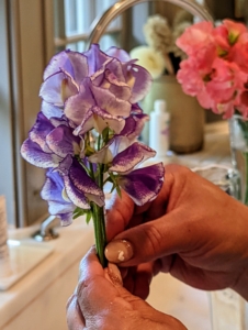 Enma does the same with the other bunches, taking each flower and facing the open blooms outward so they look best. While sweet peas fill any room with sweet fragrance, they are a short-lived cut flower, lasting only four to five days in a vase.