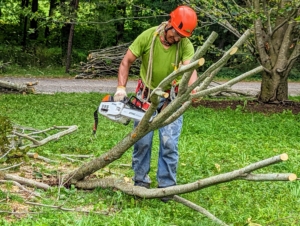 Pasang cuts some of the fallen branches into smaller, manageable pieces. He is using his favorite tool - a STIHL in-tree gas-powered chainsaw. It is lightweight and easy to use when up in the trees.