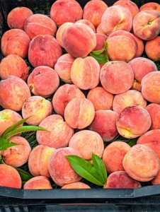 And look! Our first bounty of fresh, organic peaches from my orchard!! We have so many fruits growing this season – so sweet and delicious!