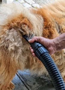 The benefit of using a hair dryer specifically for pets is that they're not really drying the dog by heat so much as blasting the water out of the fur. These powerful dryers also blow loose fur from their undercoat which means less shedding later.