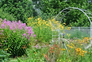 Here's another tripod sprinkler in my flower cutting garden. The adjustable tripod can reach a height of 58-inches and can water everything from above. Once the watering in one area is done, it’s extremely important to turn off the water at the source. Just turning off at the sprinkler puts a lot of pressure on the hoses and pipes.