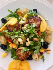 While there, we all enjoyed a delicious lunch prepared by Chef Devin of Landcraft Environments, Ltd. - a summer salad with pan seared scallops, seasonal fruits, and greens.