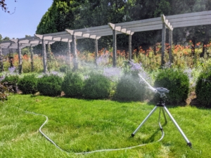 On hot, humid days, each person on the crew manages a specific section for watering. This way, everything can be monitored and timed appropriately.
