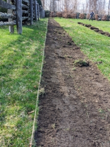 First, I drew out a plan on paper, and then last April, my outdoor grounds crew started to prepare the planting beds. Here, we used twine to designate each row for planting and its adjacent footpath.