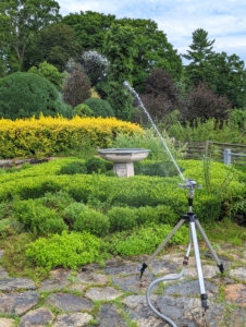 And back at my Winter House, more watering with our Gilmour Adjustable Circular Tripod Sprinkler. I've been using Gilmour hoses and sprinklers for some time. This one is watering the plantings on my terrace parterre. In the center of the garden bed is one of two hand-casted antique fountains I purchased many year ago and finally installed in 2018. They look so nice on this terrace and all the visiting birds love to bathe in them.