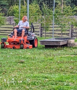 The geese are watching Fernando as he mows their pen. He is using my Kubota ZD1211-60 zero turn riding mower. It has a 24.8 horsepower diesel engine and a wide mower deck. On the right is one of several pools I provide for the geese to keep them cool during these hot summers.