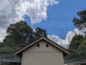Here is another view from the ground looking up - the fence fabric does not touch the roof at all, but helps to support it, so it won't sag from heavy snow cover.