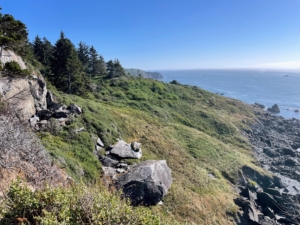 This is a view from Wedding Rock Point in Trinidad. Wedding Rock is a landmark at Patrick’s Point State Park. It was named after its original caretaker got married there in the early 1900s. From this vantage point, visitors from November through April may sometimes catch a sight of migrating California Grey Whales.
