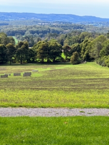 This is the "Schooling Field" where Chauncey would train his Hackney horses for four-in-hand carriage driving. A field that also has sweeping mountain views.
