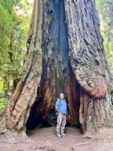 Here's Doug at the base of one of the trees in Prairie Creek Redwoods State Park - a 14,000 acre park and coastal sanctuary for old-growth Coast Redwood trees.