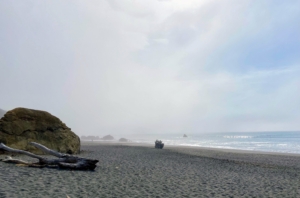 They stopped at Pelican State Beach, a five-acre beach known for its sandy dunes and driftwood. Many visitors come here for walking and beach-combing. Because of its remote location and easy-to-miss access road, it has been described as "the loneliest beach in California".