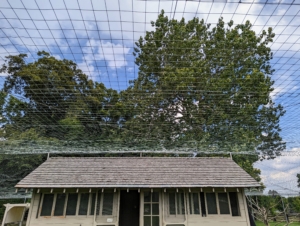 If you follow this blog regularly, you may have seen the post showing the installation of this new fencing fabric over the peafowl coop and the yard. It will now prevent dangerous predators from entering the enclosure.