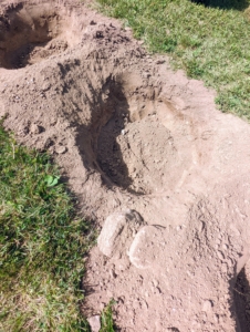Here is one of the holes - it is almost a foot deep and the sides are slightly sloped with the widest part at the top.