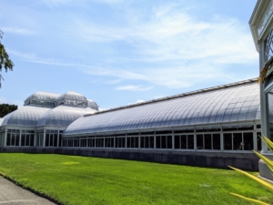 The building is a series of large glass pavilions that are all very open on the inside, much like any greenhouse. The separate pavilions allow for any necessary variations in temperature and humidity.
