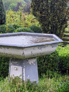 Here in Bedford, the rain was not extremely strong or damaging, but it was steady. This is one of two hand-casted antique fountains I purchased many year ago. One can see the rings of the raindrops on the water.