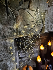 Many viewers love my new Crystal Wire Web Lights. Place it in an entryway or by the fireplace to add a special and spooky effect. And, do you know the difference between a spider web and a cobweb? A "spider web" refers to a web that is still in use by a spider. A "cobweb" refers to one that has been abandoned.