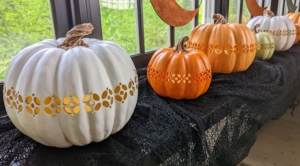 Here, we decorated the entire windowsill with these Resin 10" Illuminated Pierced Pumpkins. We made white, orange and sage.