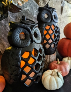 These are my Cast Iron Indoor/Outdoor Owls with LED Candles. Made to be heavy enough to sit on your front porch or stand alone by the hearth, this piece comes with its own LED candle.