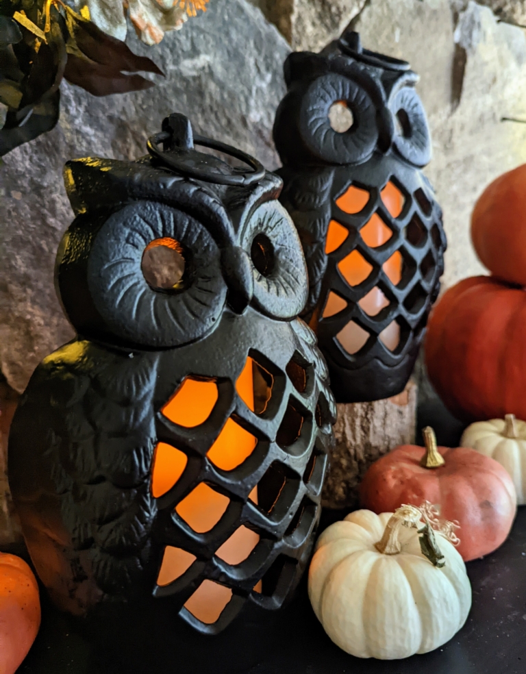 My Halloween & Harvest Collection on QVC The Martha Stewart Blog