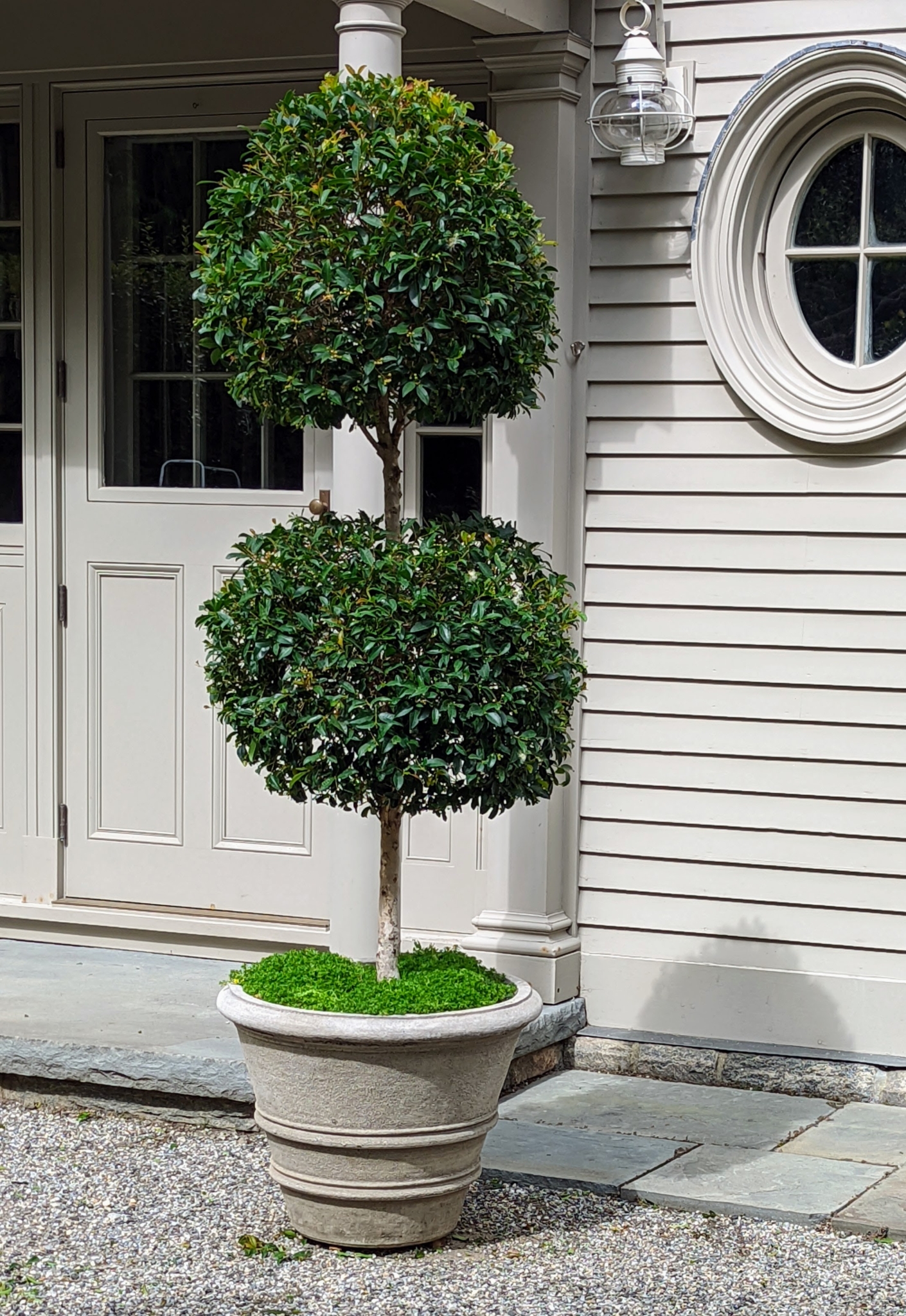 Grooming the Topiaries in My Winter House Courtyard - The Martha ...