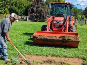 Our trusted Kubota tractor and bucket are brought in to hold and haul the newly removed sod.