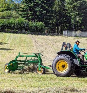 After the hay is tedded, it is then raked. Raking the hay is the fastest part of the process. There are different kinds of rakes – they include wheel rakes, rotary rakes and parallel bar or basket rakes. Domi is using a parallel bar rake. This type uses a gentle raking action with a lower chance of soil contamination than the wheel rake.