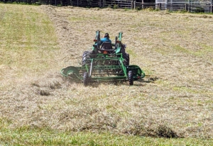 In this photo, one can see the windrow as it is made. The hay rake is pulled at a slight angle to the tractor as it moves. Domi moves at about six to eight miles per hour. The speed actually makes a difference in creating the windrows – slower speed results in a wider windrow that is not well filled in the middle. High speed results in a narrower windrow that is over filled in the middle.