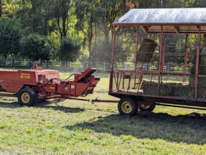 The bales are propelled into the wagon by a mechanical arm called a thrower or a kicker. The bales are manageable for one person to handle, about 45 to 60 pounds each.